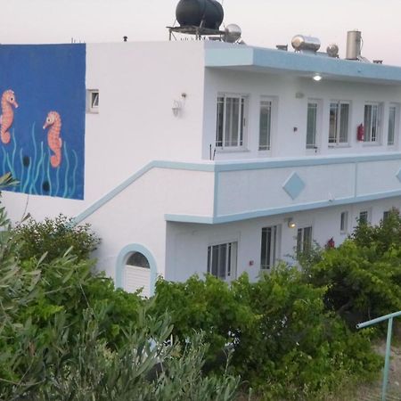 Ipokampos Διαμέρισμα Κέφαλος Εξωτερικό φωτογραφία